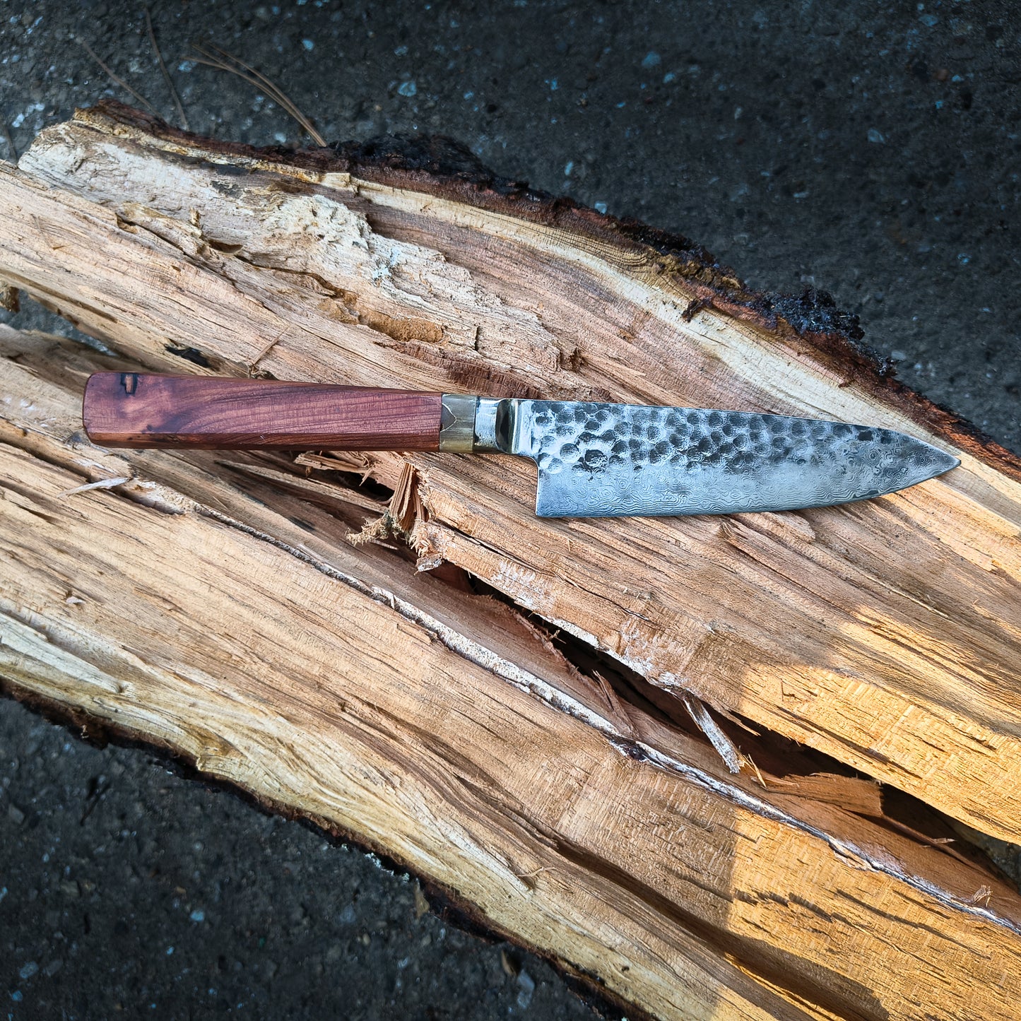 Gyuto Redwood Knife